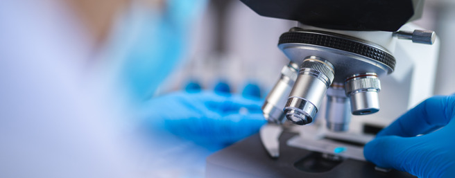 A close-up of a microscope with a person's gloved hands adjusting the stage. The background is blurred, focusing on the microscope, suggesting a laboratory or research environment.